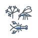 biodiversité