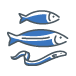 poissons migrateurs